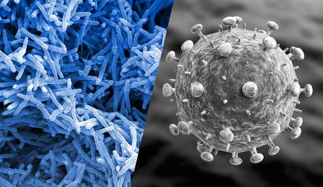Skillnaden mellan virus och bakterier